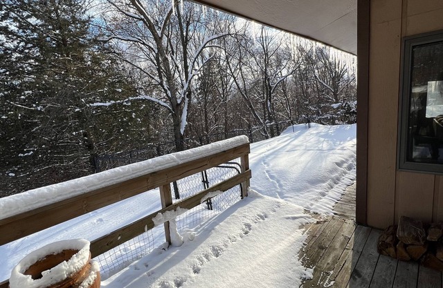 The Eagle's Nest - Cabin Home