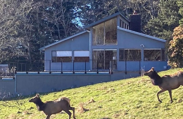 The Elk Coast House - Secluded Beach Access - Wrap Around Deck - Spa - HotTub