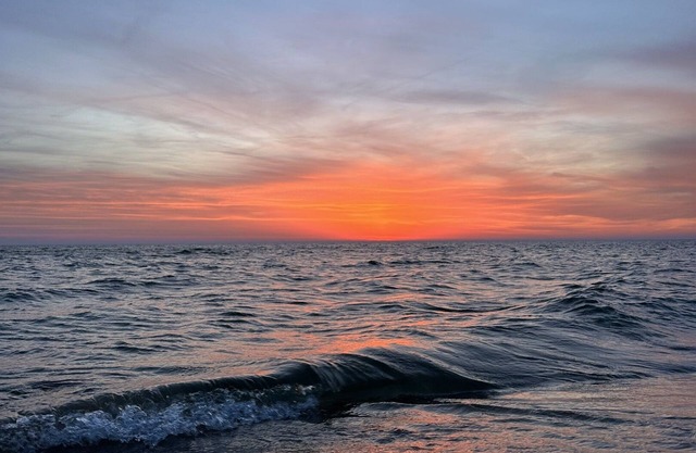 The Farmhouse - Tiny House - Tiny Digs Lakeshore