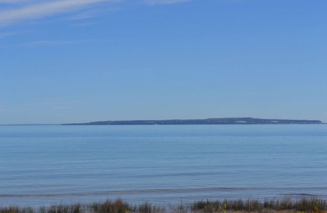 The Hidden Jewel Condo de 1 habitación 58