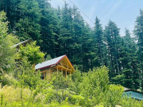 The Latoda forest edge duplex cottage in jibhi