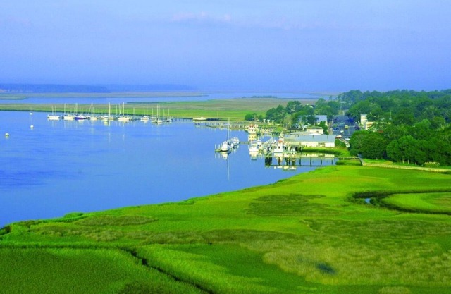 La casa de Lil Pink invita, ¡relájate bajo Live Oaks!