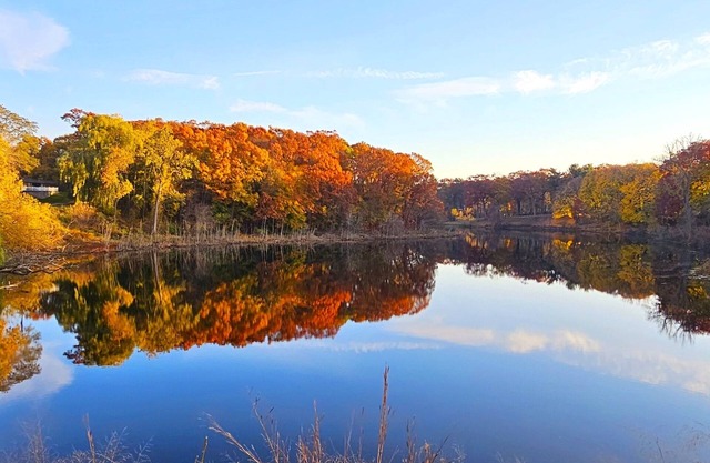 The Log Cabin - Tiny House - Tiny Digs Lakeshore
