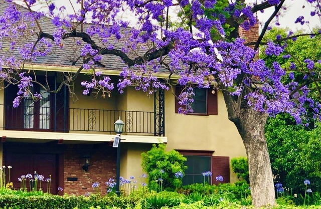 The“moving castle”,a French-style gem nestled in Pasadena
