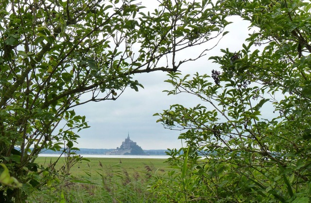Los senderos: entre Saint Malo y Mont Saint Michel en la Mansión Vaugarny