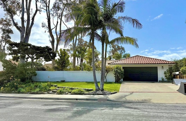 El cojín de la playa de Solana