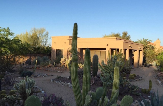 Sublime Desert Oasis