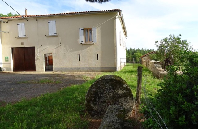 The swallows of Montsec