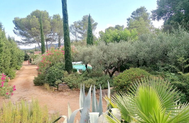 The whisper of the olive trees