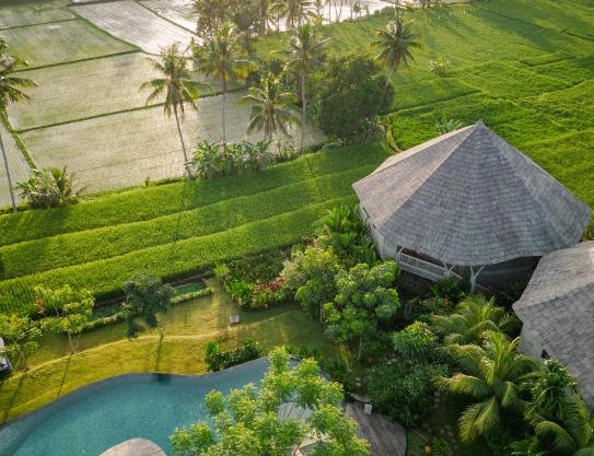 thewakanda Resort A Pramana Experience