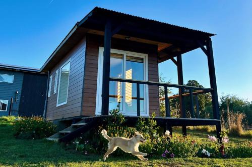 Tinyhouses Mirador del Lago