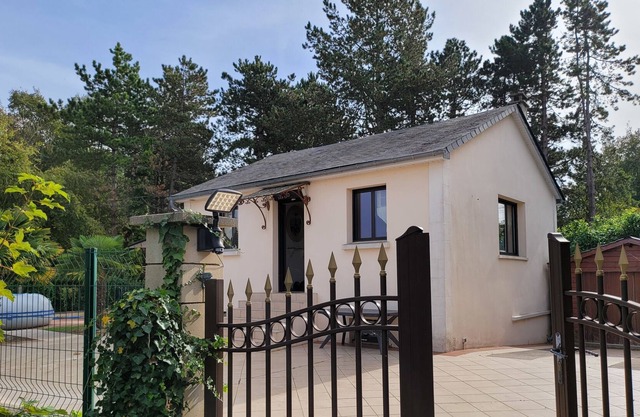 Sous les palmiers au soleil ☀