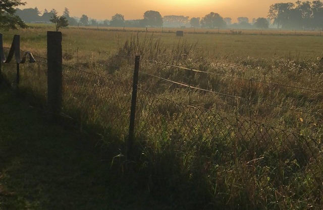 Tolle Aussicht- Tolle Sonnenaufgänge