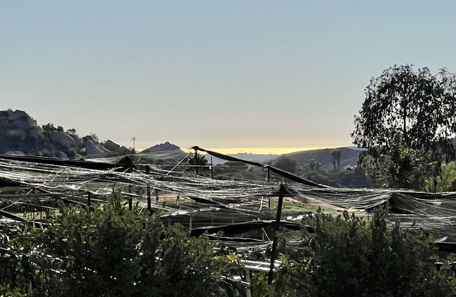 Tranquil Setting On Lush Farm & Vineyard