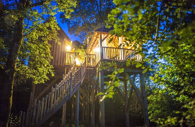 Casa del árbol con spa privado