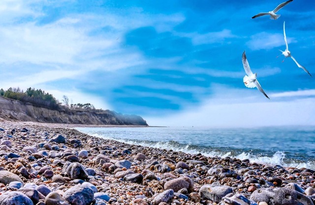 Tree tent Ostseebreeze - Category 1 No. 8 - Ferienpark Bakenberg