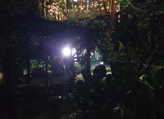 Tree Top Glamping Dusun Anum