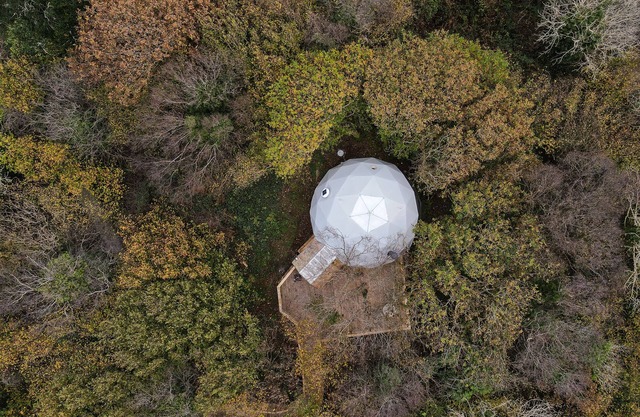 Casa del árbol-Lujoso-Baño con ducha-Vista al bosque-Treehouse Dome
