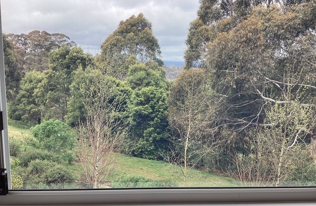 Treehouse Eco Retreat