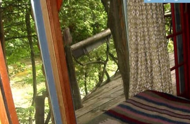 Casa del árbol posada en la orilla del agua
