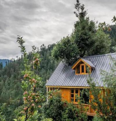 TREEHOUSES JIBHI,SWASTIK and HIMALAYAN OUTSKRIT