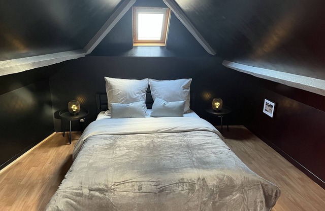 Triplex Carnot - Autonomous access - Netflix