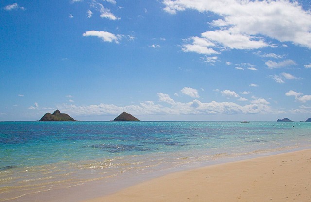 'Tropical Garden Paradise' Pasos a la playa y muy asequible