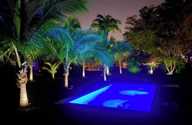 Tropical Miami Waterfront