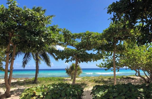 TROPICAL PARADISE ON THE BEACH