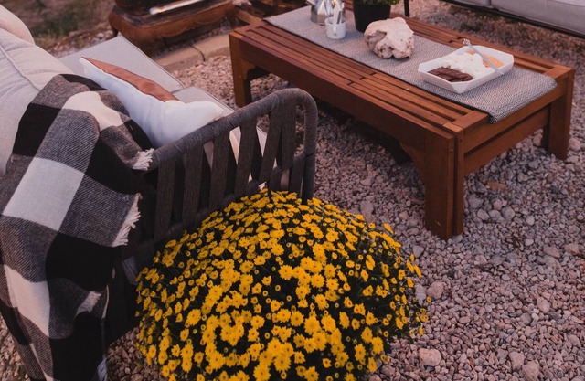 "Twilight" Inflatable Dome with Star/Sunset/Farm Views