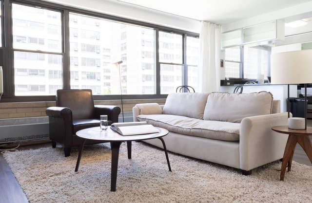 UChicago, Lake, Sci Museum with Gym + W&D | Zencity