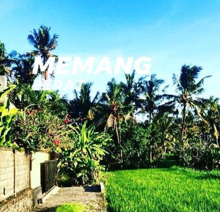 Uda House Saba Beach 2