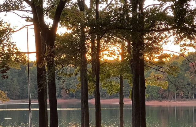 Steps to taking a swim in refreshing Lake Hartwell - STUNNING sunsets - Anderson