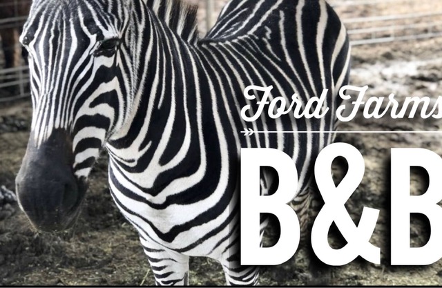 Unique Farm stay at a Petting Zoo