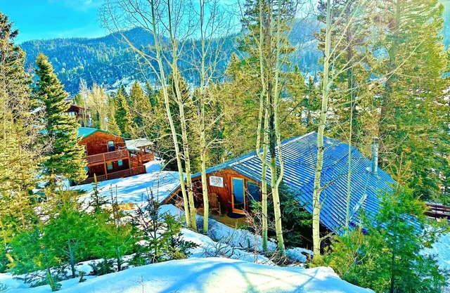 Updated Private Cabin with Mountain and Red River Views Mins to Town/Lifts Wi-Fi