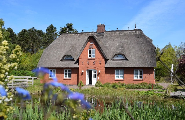 Vacation incl. swimming pool and sauna