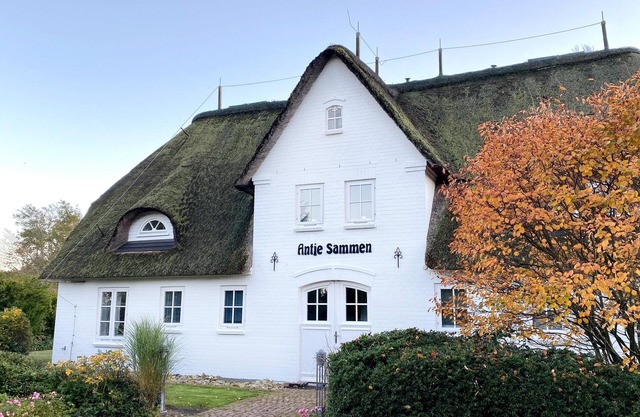 Vacation with dog incl. swimming pool and sauna