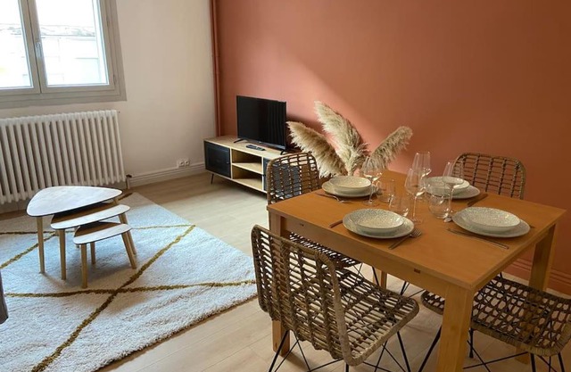 Vaste Appartement Rénové - Centre Ville