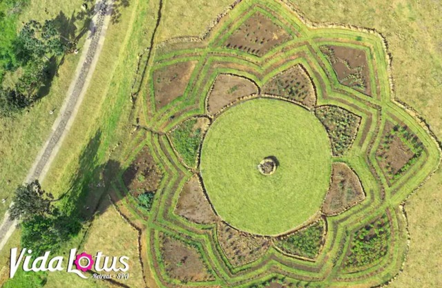 Vida Lotus Private Queen Room 1