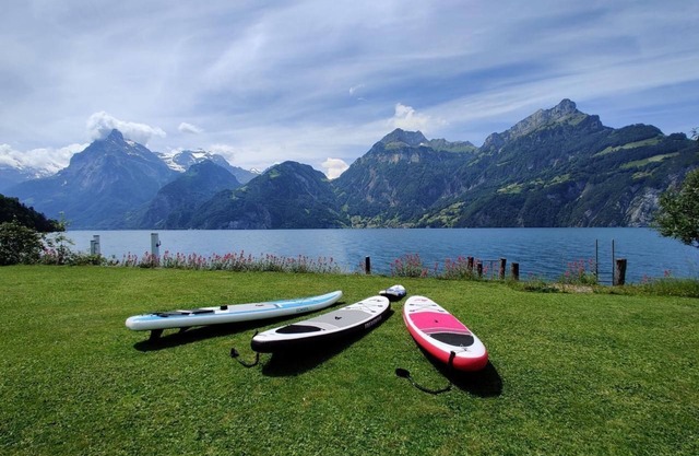 Casa de vacaciones Sisikon para 1 - 10 personas con 4 dormitorios - Casa de vacaciones independiente