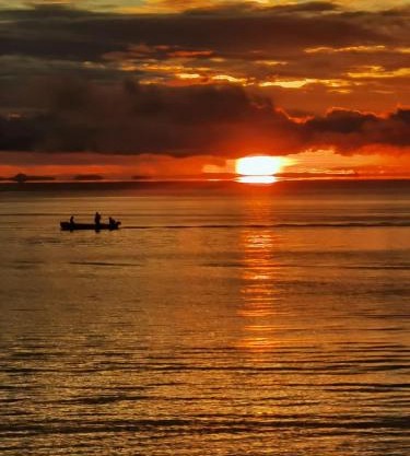 Villa Coral Gables Casa