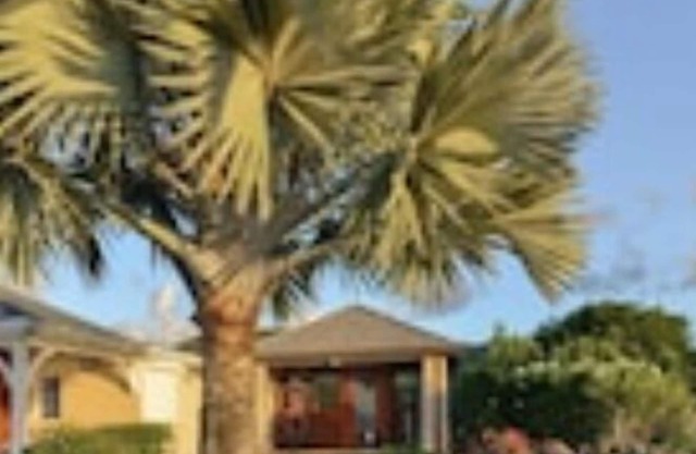 Villa Dreamin blue 4 BEDROOMS