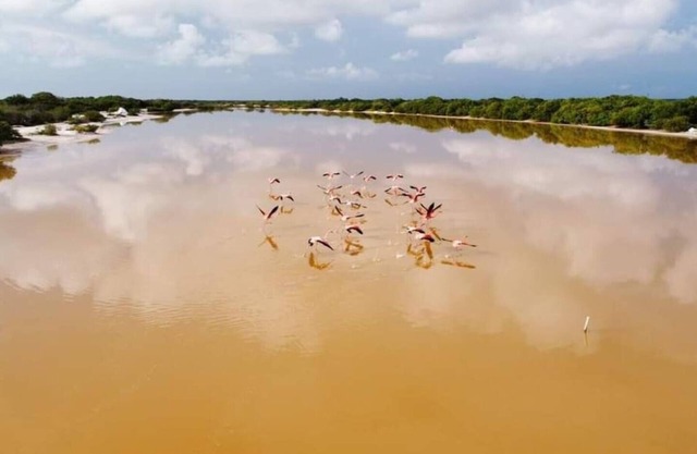 Villa Gabriela #3 Cozy room 3 min from the beach