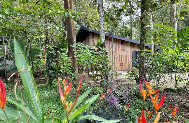 Villa Iguana para Descansar Bajo los Árboles