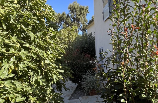 Villa en el corazón de Erbalunga perfecta para sus vacaciones !