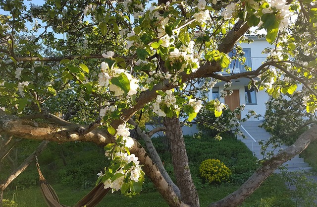 Villa with private garden 10 min from central Stockholm, 300 m from the sea