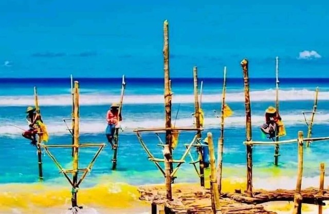 Village Star Rest Mirissa Sri Lanka