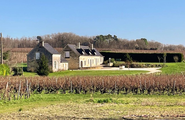 Casa rural en viñedo, todo incluido, jardín y bicicletas, cerca de Saumur-Chinon-Langeais
