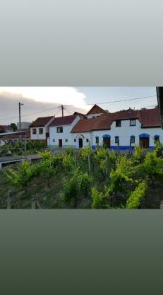 Vinný sklípek s ubytováním