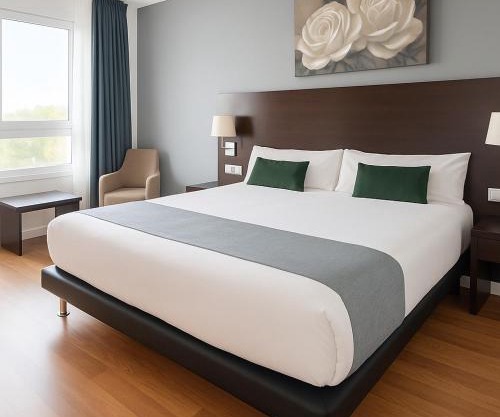 VTZ Hotel Plaza España